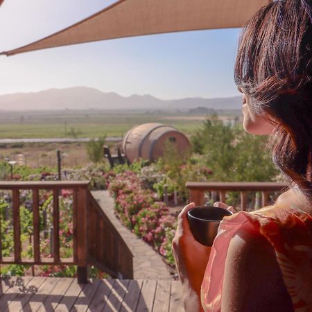 Finca El Mirador Вале де Гуадалупе Екстериор снимка