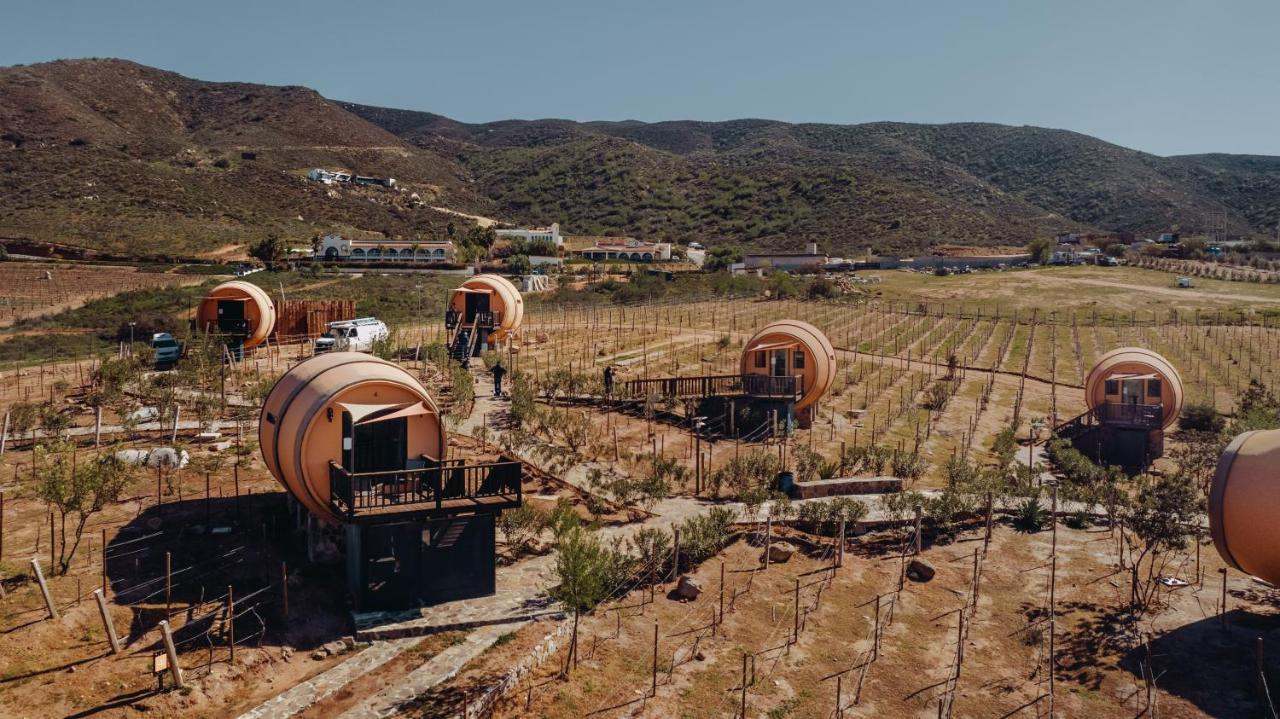 Finca El Mirador Hotel Вале де Гуадалупе Екстериор снимка