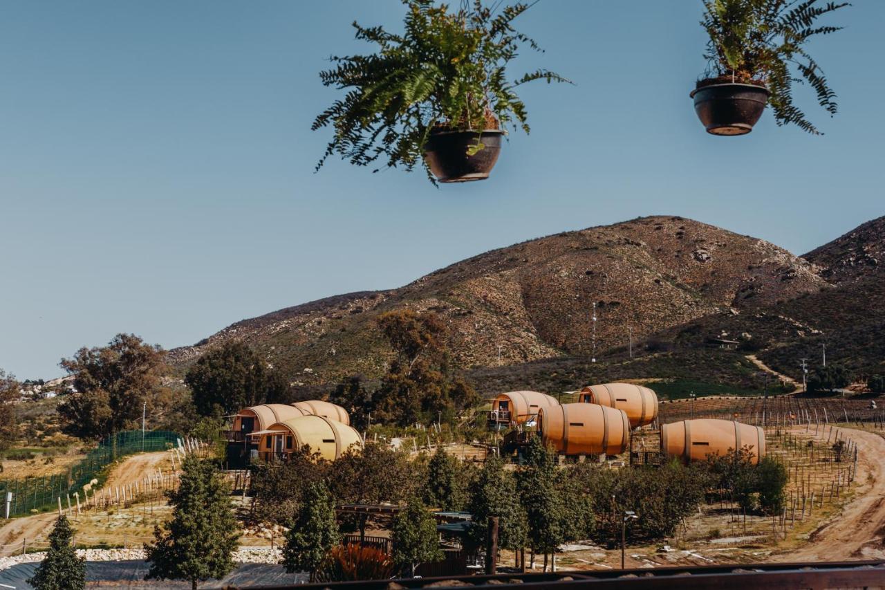 Finca El Mirador Вале де Гуадалупе Екстериор снимка