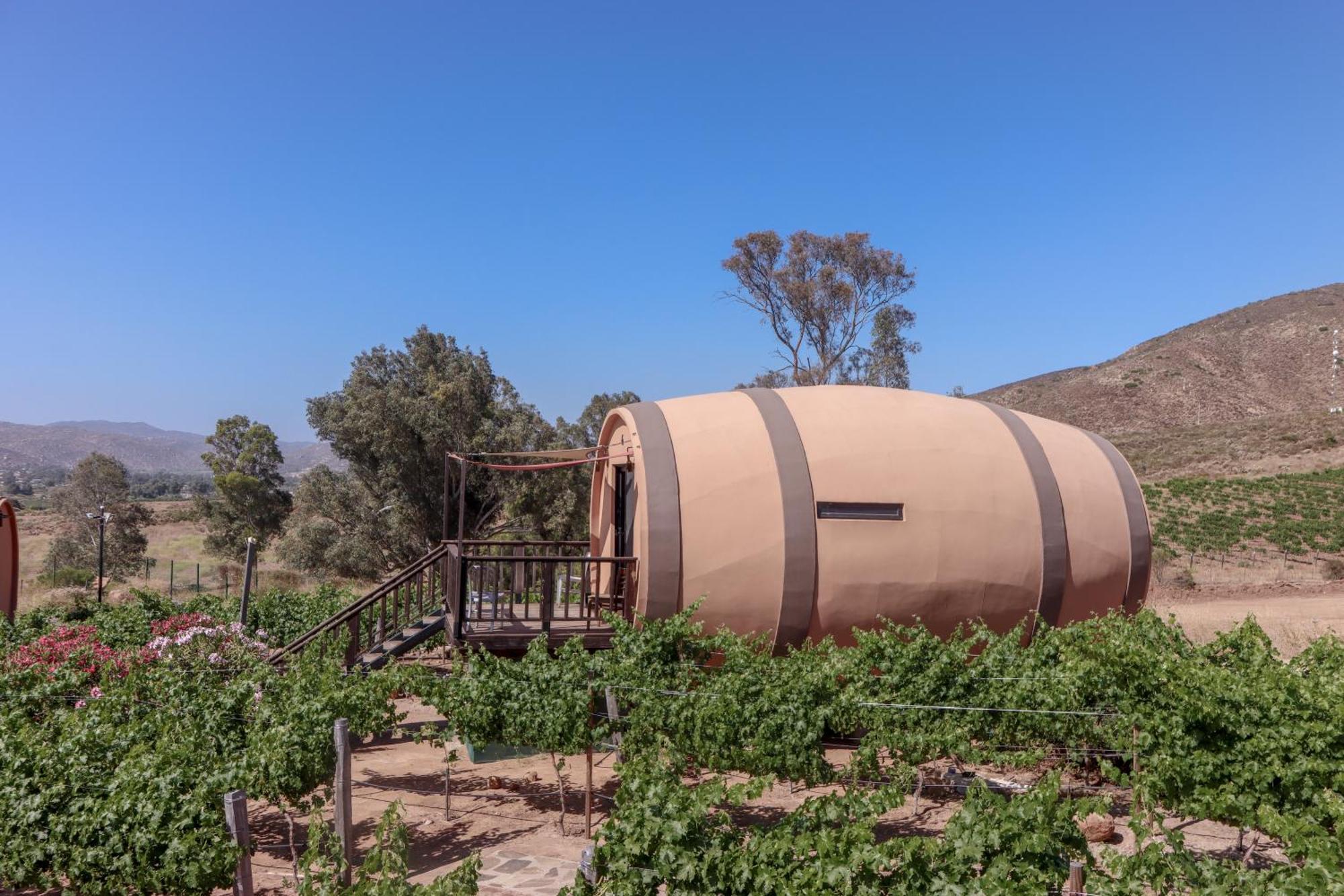 Finca El Mirador Вале де Гуадалупе Екстериор снимка